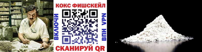 Купить закладки  Устюжна  Cocaine Эквадор 