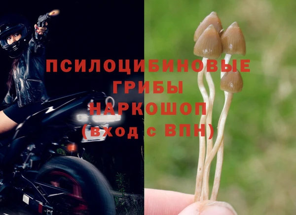 МДМА Заволжье