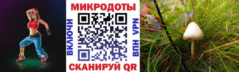 Галлюциногенные грибы Magic Shrooms  Купить  Устюжна 